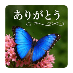 takokoc_20260615071932