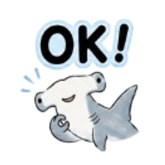 Hammerhead Shark daily English Reactions