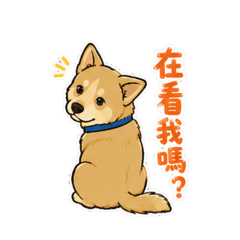 麻吉～在看我嗎？