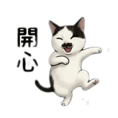 鬍鬚的生活0