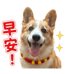 臭臭丁❤️