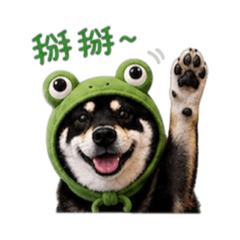 麒麟日常用語2