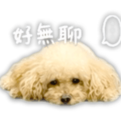 瓜瓜日常都有點點陪（六）
