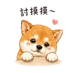 撒嬌版小籠包柴柴