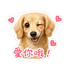 烏哩奇奇寶貝