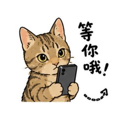 我家的凱莉