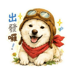 小白菜生活日常