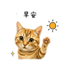傲嬌橘子ㄉ日常