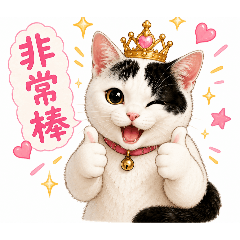 萌貓寧靜