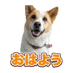 masa_20260623161350