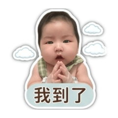 頓頓小寶寶