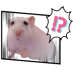 Tangyuan is a little mouse