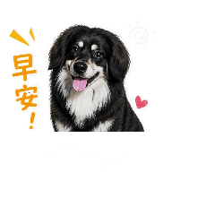 哆比是大臘腸