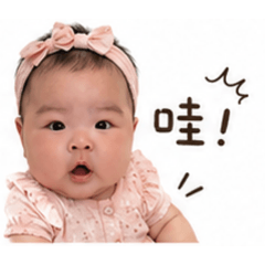 4個月の葵