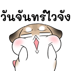 Pudding: Burnout Mode 2026