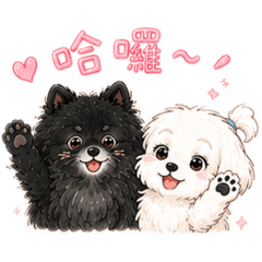 Coco&Momo可愛日常