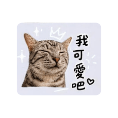 麻糬生活1
