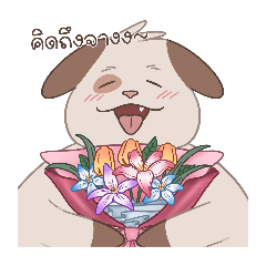 Cute chubby doggie