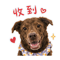 可可系列風格