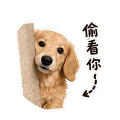 我是Bobby少爺
