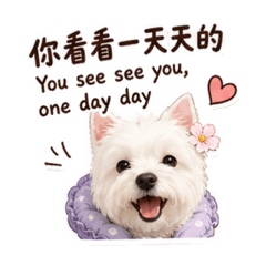 小小頭獎