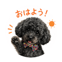 SUSUMU_20260619195807