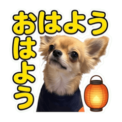 Sai_20260617130211