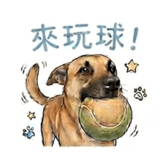 肥宅日常生活