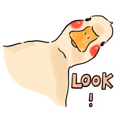 Hello duckie