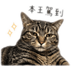 ゆうた、ゆみ日常