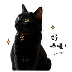 CAT black panther 2.0