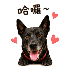 chiang mickey daily