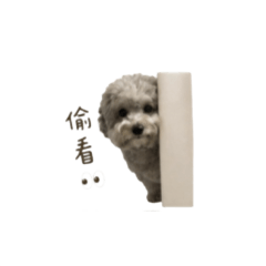 Douzih