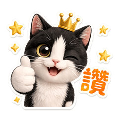 可愛的賓士貓1