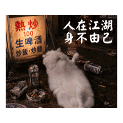 貓怪動圖