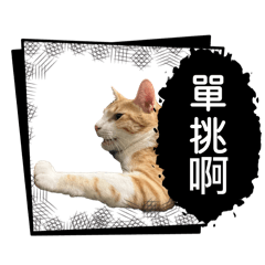 酷寶寶搗蛋日記
