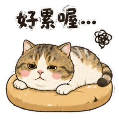 社恐學生系列