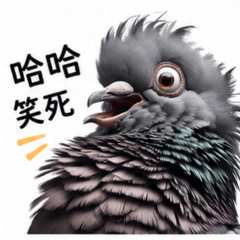阿咕的小吐嘈