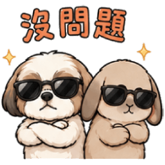 可愛西施犬與垂耳兔 - 日常篇2
