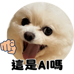 叭噗帥哥王子愛思考
