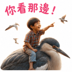 【大鳥系列】大夜鷺與孩子們