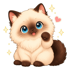ragdoll-cat