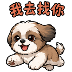 可愛西施犬與垂耳兔 - 西施犬篇