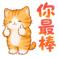 福氣圓圓貓❤️大字日常、長輩