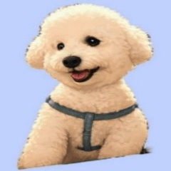 Chuang Bo Bo