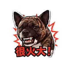 HaNa廖