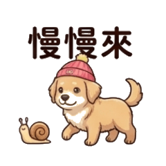 暖心小萌犬：溫柔的日常陪伴