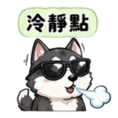 二哈人生海海