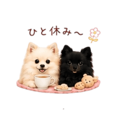 Lulu_20260624131554