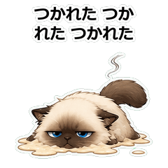 貓咪バーマン情緒登出貼圖